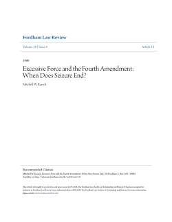 Excessive Force and the Fourth Amendment