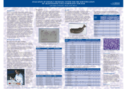 evaluation of biolog`s microlog system for the identification of