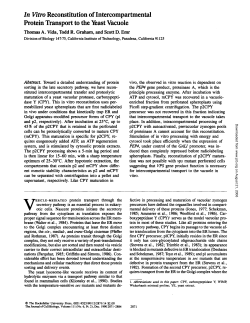 In Vitro Reconstitution of Intercompartmental Protein Transport to the