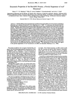 Enzymatic Properties of the RecA803 Protein, a Partial Suppressor
