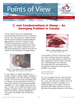 C. ovis condemnations in sheep - an emerging problem in Canada