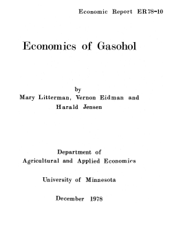 Economics of Gasohol