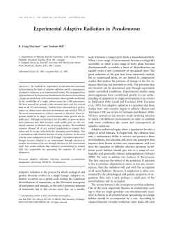 Experimental Adaptive Radiation in Pseudomonas