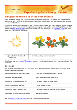 Garden of Marigolds &ndash; Early Years