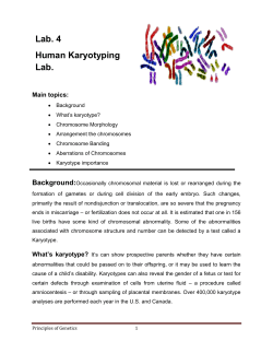 Lab. 4 Human Karyotyping Lab.
