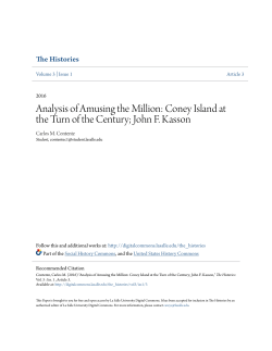 Analysis of Amusing the Million: Coney Island at the Turn of the
