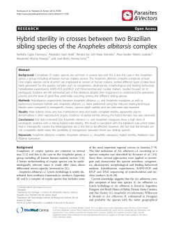 Hybrid sterility in crosses between two Brazilian