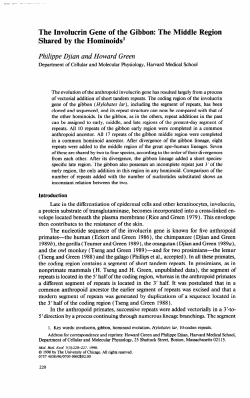 The Involucrin Gene of the Gibbon: The Middle Region Shared by