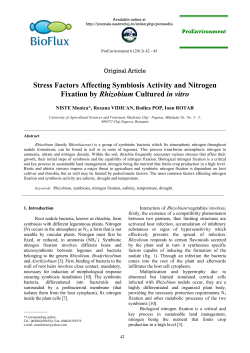 Stress Factors Affecting Symbiosis Activity and Nitrogen Fixation by