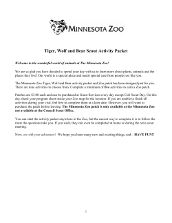 Tiger Wolf and Bear Activity Packet Feb. 2017