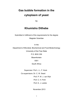 Gas bubble formation in the cytoplasm of yeast Khumisho Dithebe