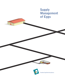 Supply Management of Eggs
