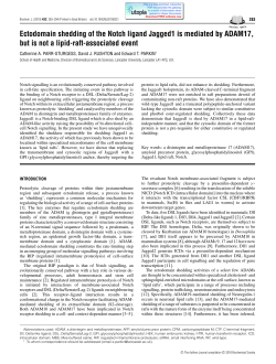 Ectodomain shedding of the Notch ligand Jagged1 is mediated by