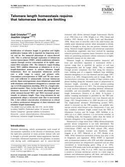 Telomere length homeostasis requires that telomerase levels are