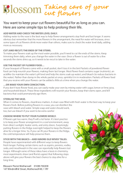 Taking care of your cut flowers