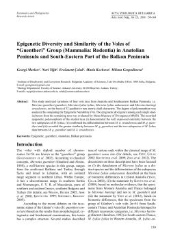 Epigenetic Diversity and Similarity of the Voles of &ldquo;Guentheri&rdquo; Group