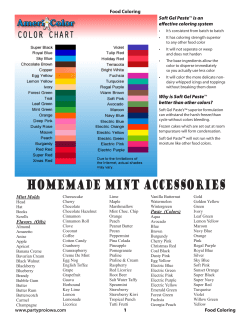 Homemade Mint Accessories