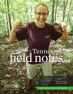 Tennessee - The Nature Conservancy