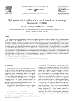 Phylogenetic relationships of the North American chorus frogs