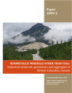 Paper 2009-2 - Ministry of Energy and Mines and Responsible for