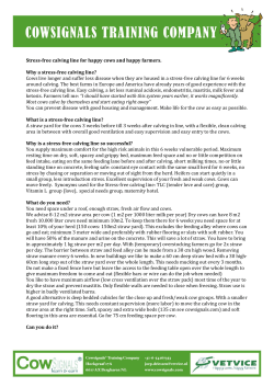 Stress-free calving line for happy cows and happy farmers. Why a