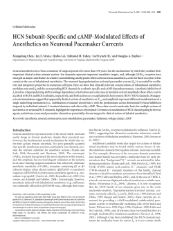 HCN Subunit-Specific and cAMP-Modulated Effects of Anesthetics