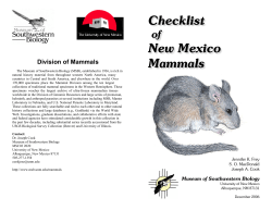 NM checklist FINAL FINAL 26 Nov 2006