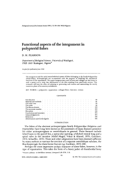Functional aspects of the integument in