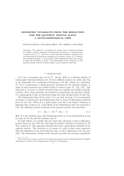 GEOMETRIC INVARIANTS FROM THE RESOLUTION FOR THE
