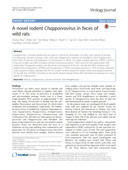 A novel rodent Chapparvovirus in feces of wild rats | SpringerLink