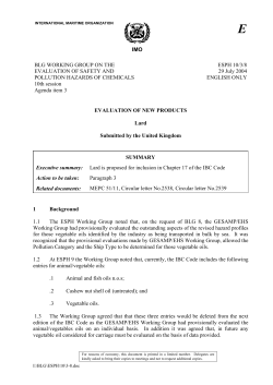 IMO BLG WORKING GROUP ON THE EVALUATION OF SAFETY