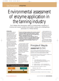 Environmental assessment of enzyme application in