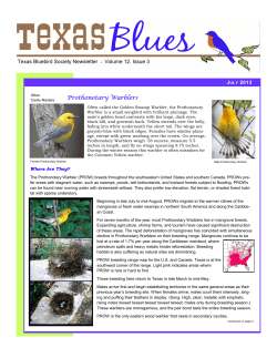 Prothonotary Warblers - Texas Bluebird Society