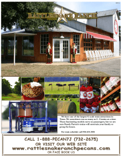 now - Rattlesnake Ranch Pecans