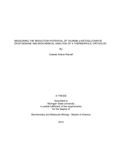 MEASURING THE REDUCTION POTENTIAL OF TAURINE:&alpha;