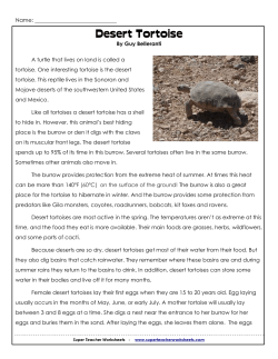 Desert Tortoise - Super Teacher Worksheets