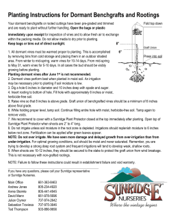 Planting Instructions for Dormant Benchgrafts and Rootings