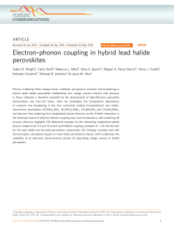 phonon coupling in hybrid lead halide perovskites