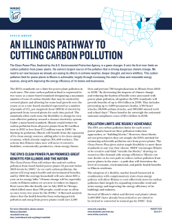 NRDC: An Illinois Pathway To Cutting Carbon Pollution