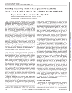 Full PDF - American Journal of Physiology