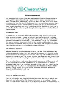Diabetes in dogs and cats