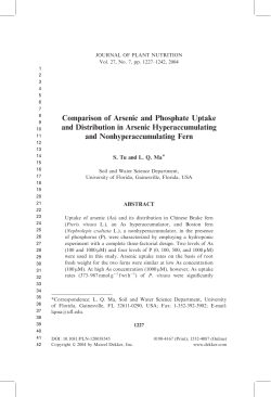 Comparison of Arsenic and Phosphate Uptake and Distribution in