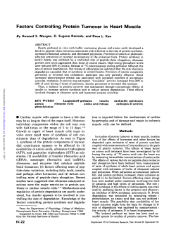 Factors Controlling Protein Turnover in Heart Muscle