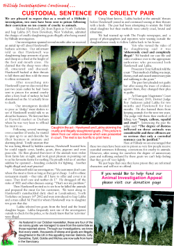 Custodial Sentence for Cruelty Pair