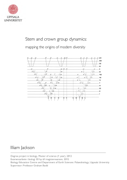 Stem and crown group dynamics: Illiam Jackson