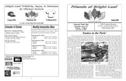 Snakes in the Park! - Bright Leaf Preserve