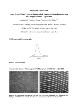 Supporting Information Janus Triad: Three Types of Nonspherical