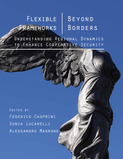 Flexible Frameworks Beyond Borders. Understanding Regional