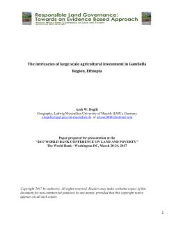 The intricacies of large scale agricultural investment in
