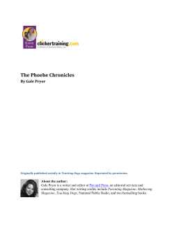 The Phoebe Chronicles - Karen Pryor Clicker Training